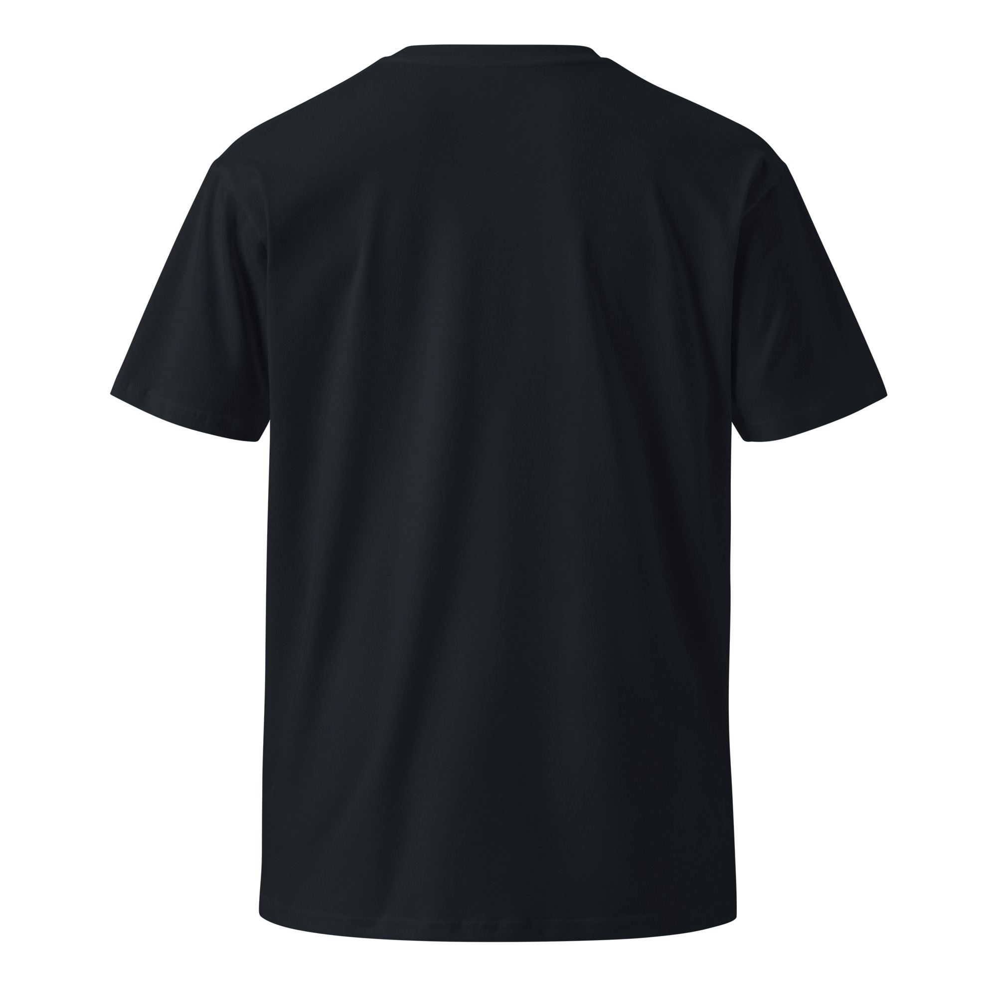 Privado: Camiseta premium unisex praxma